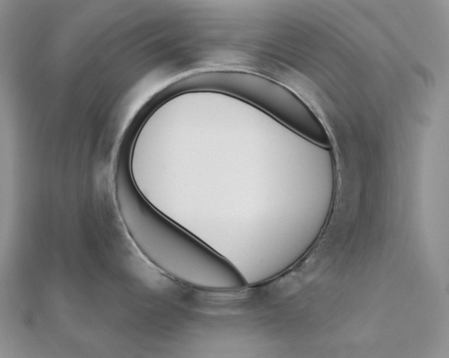 X0000112081344200909011036