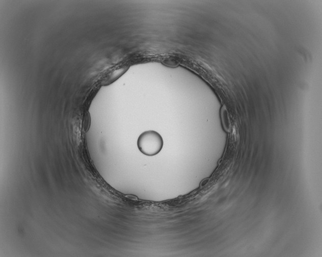 X0000112081348200909011035