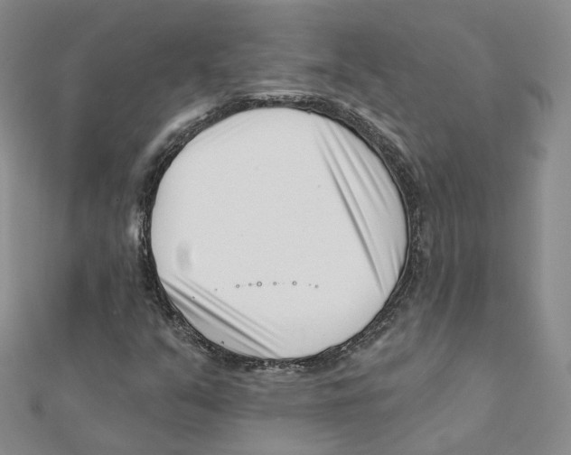 X0000112081351200909011035