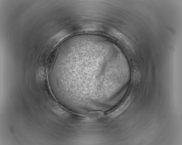 X0000112081353200909011035