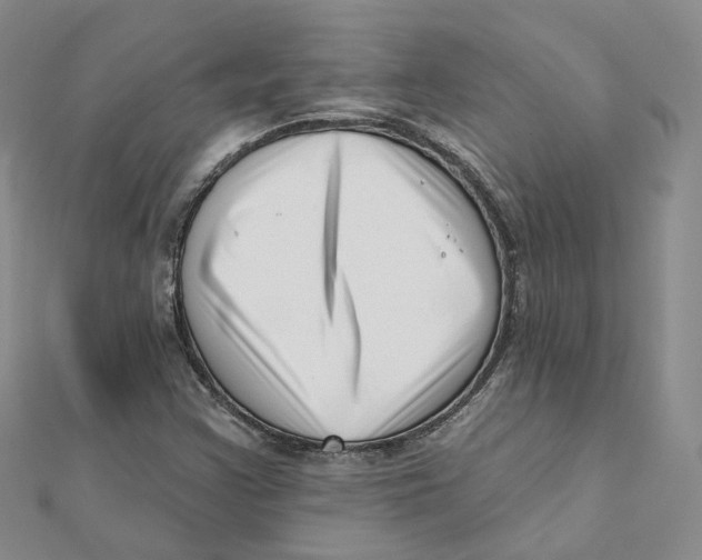 X0000112081355200909011035