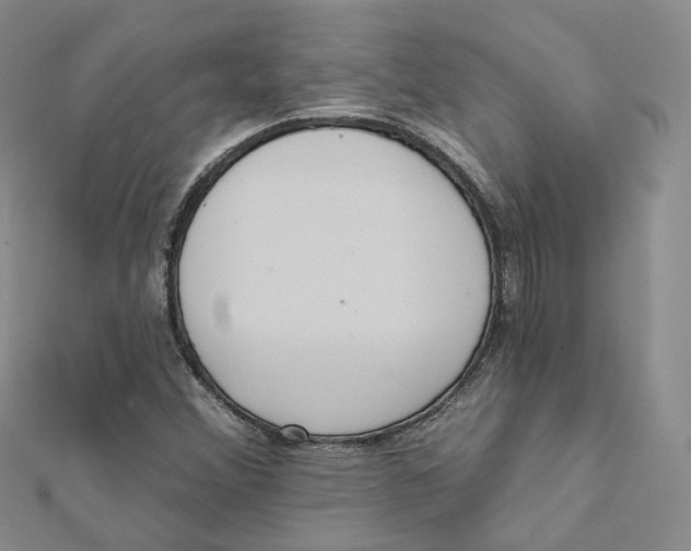 X0000112081356200909011035