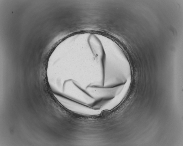X0000112081359200909011035