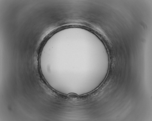 X0000112081360200909011035