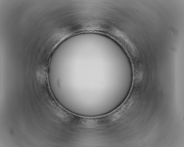 X0000112081361200909011035