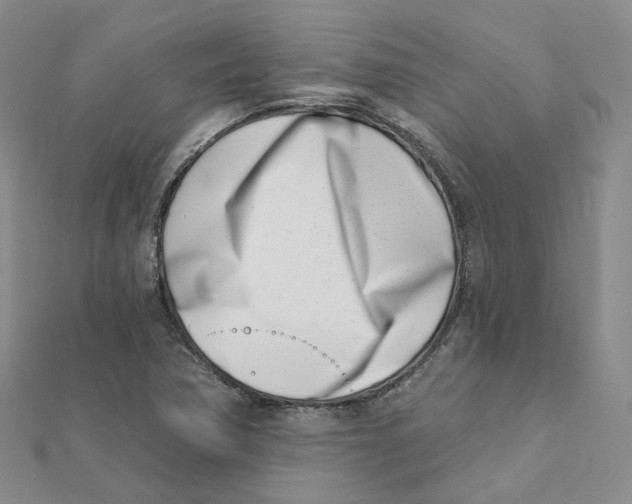 X0000112081362200909011035