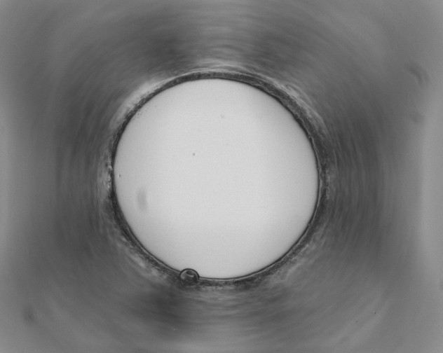 X0000112081363200909011035