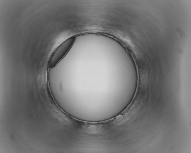 X0000112081365200909011035