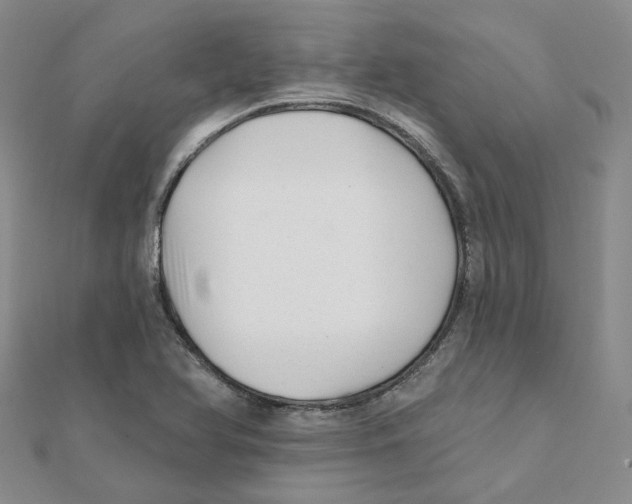 X0000112081366200909011035