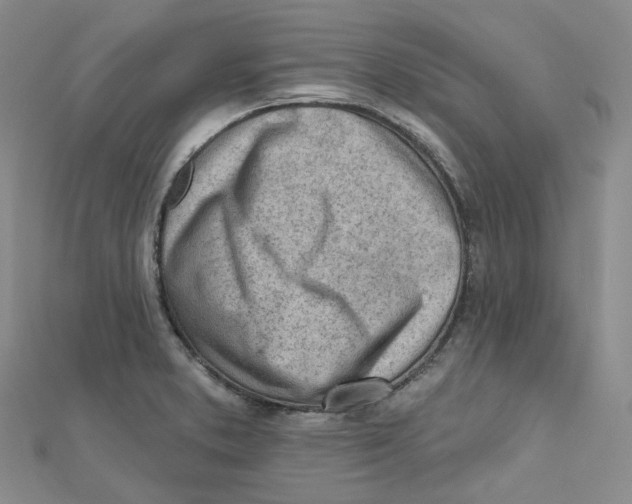 X0000112081373200909011035