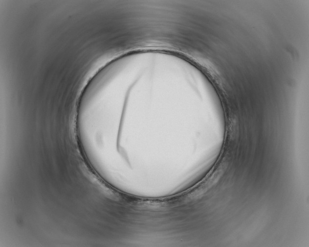 X0000112081374200909011035