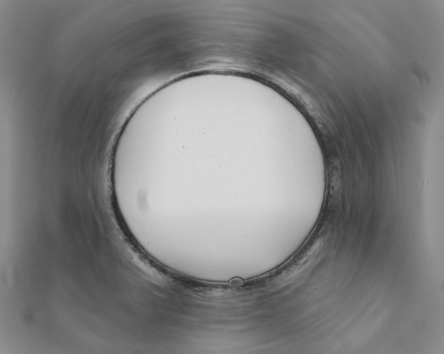 X0000112081375200909011035