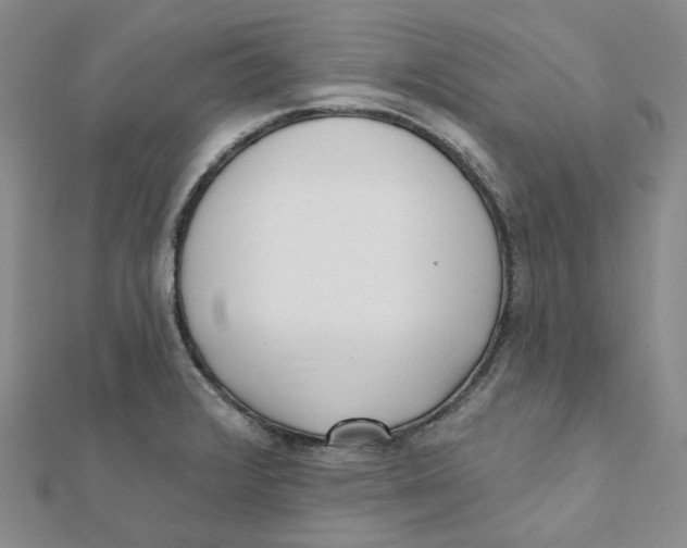 X0000112081376200909011035