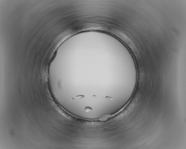 X0000112081377200909011035