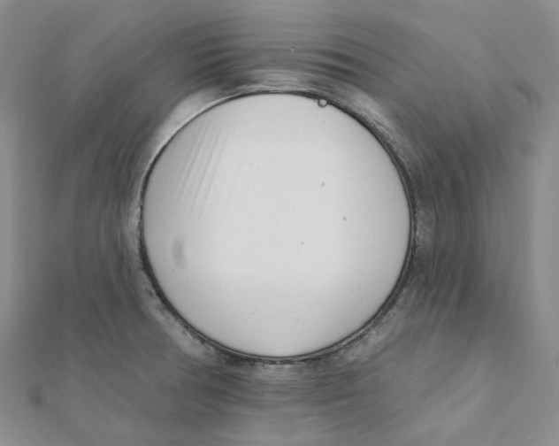 X0000112081378200909011035