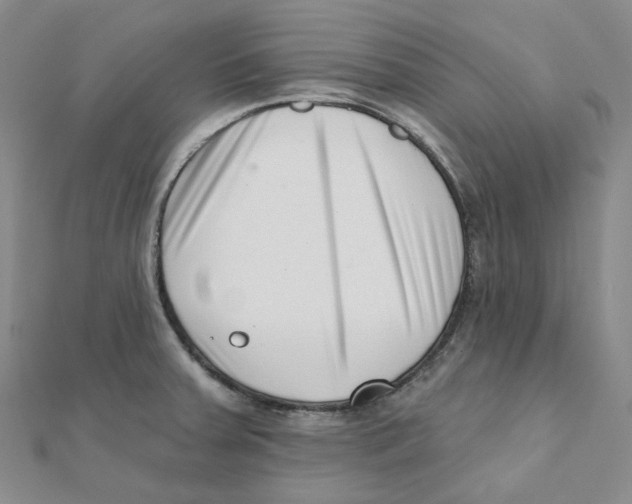 X0000112081379200909011035