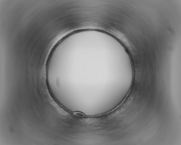 X0000112081380200909011035
