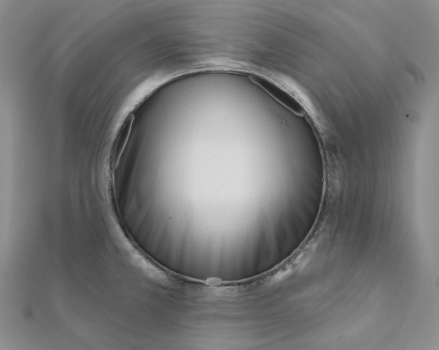 X0000112081381200909011035