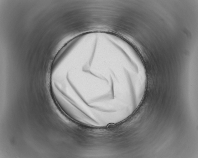 X0000112081383200909011035