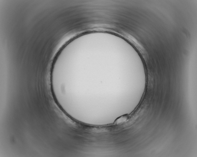 X0000112081384200909011035