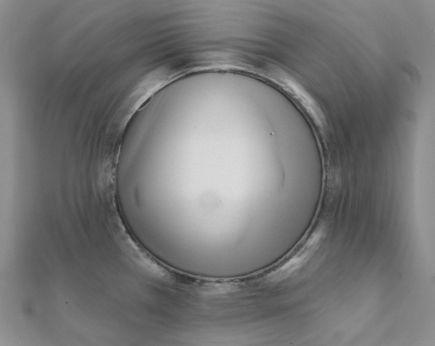 X0000112081385200909011035