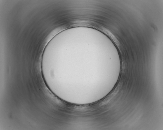 X0000112081386200909011035