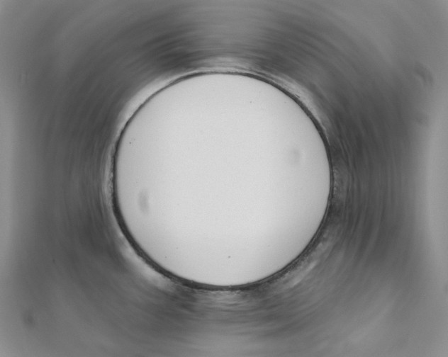 X0000112081387200909011035