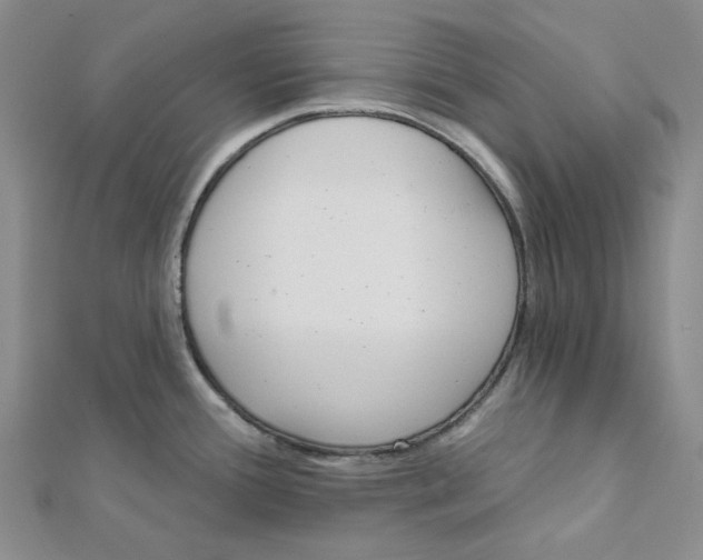 X0000112081388200909011035