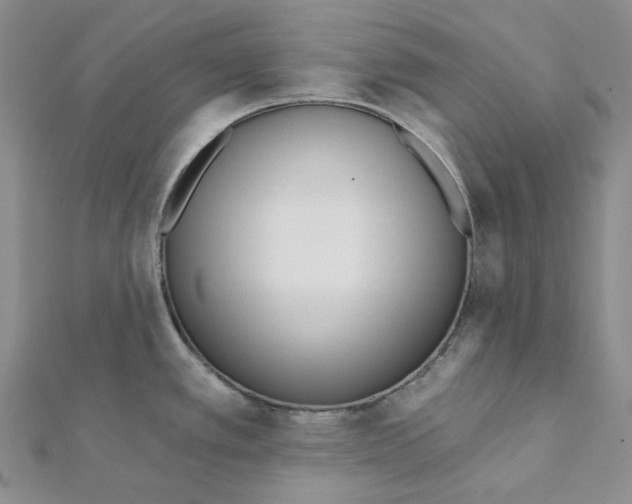 X0000112081389200909011035