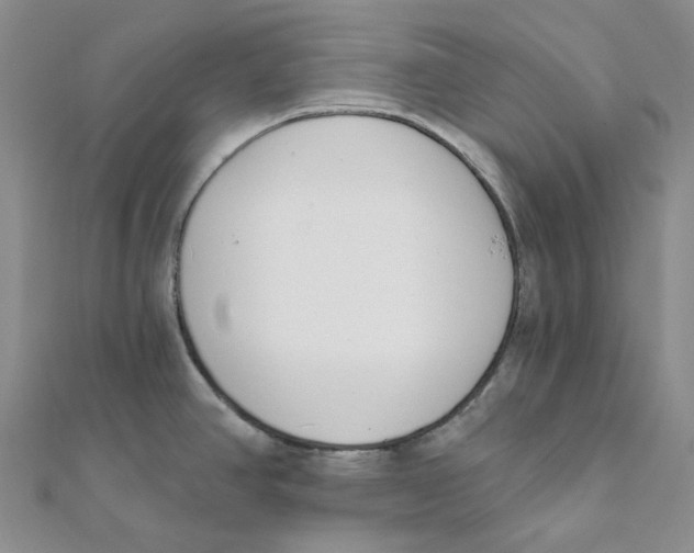X0000112081390200909011035