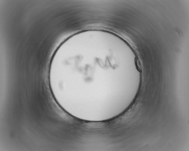 X0000112081392200909011035