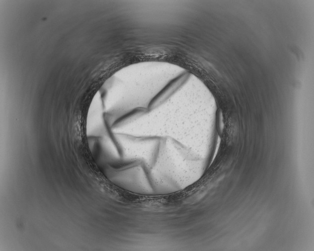X0000112081394200909011034
