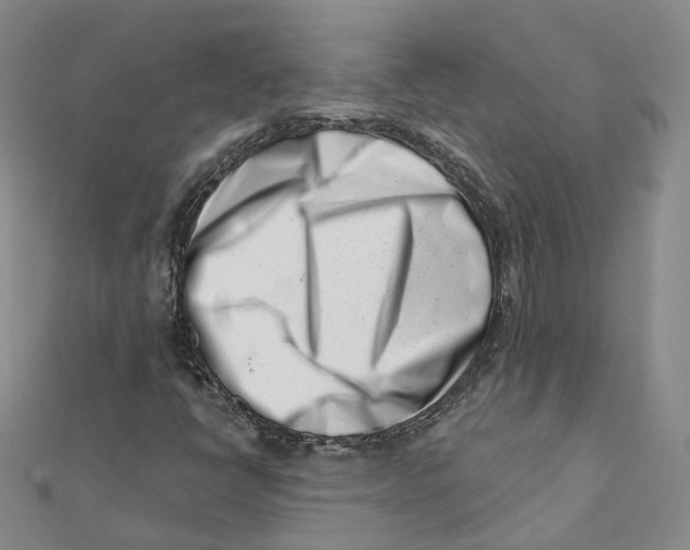X0000112081398200909011034