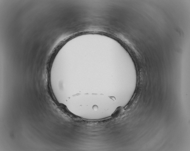 X0000112081408200909011034