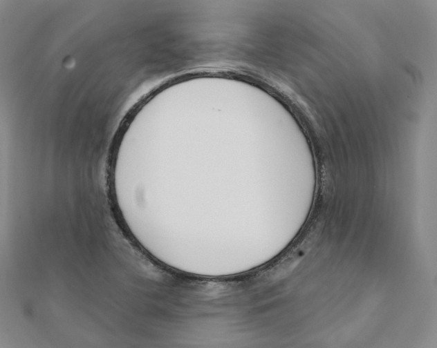 X0000112081412200909011034