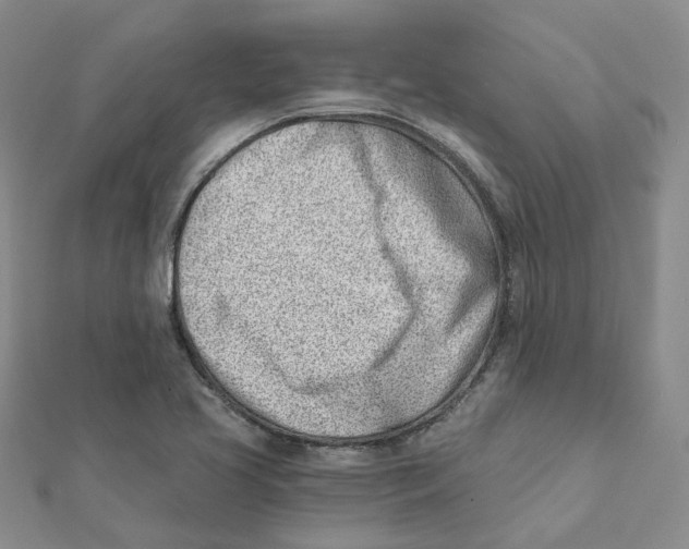 X0000112081413200909011034