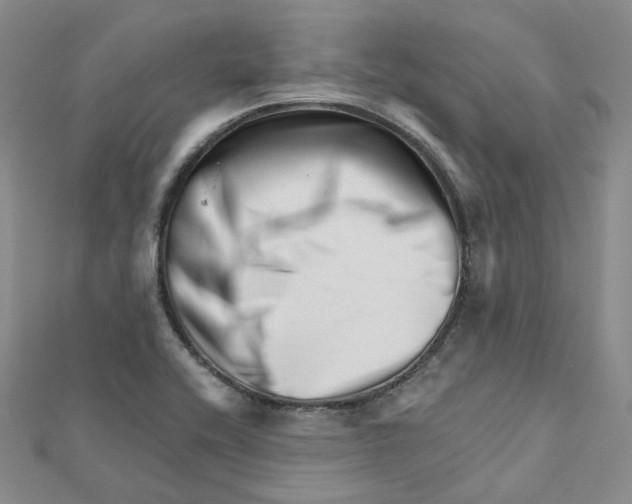 X0000112081416200909011034