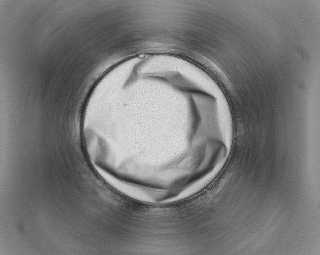 X0000112081419200909011034