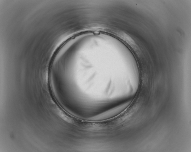X0000112081420200909011034
