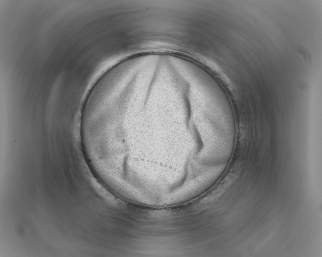 X0000112081421200909011034