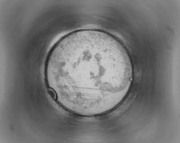 X0000112081422200909011034