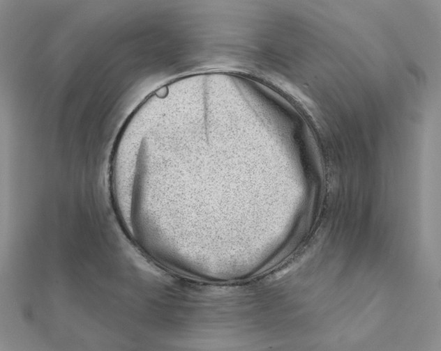 X0000112081423200909011034