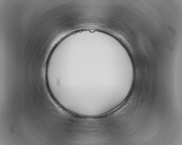 X0000112081424200909011034