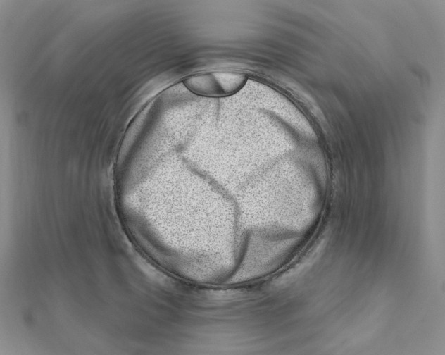X0000112081425200909011034