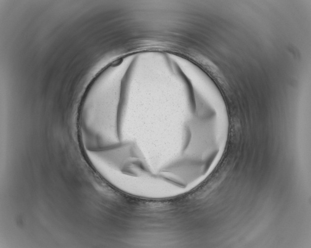 X0000112081427200909011034