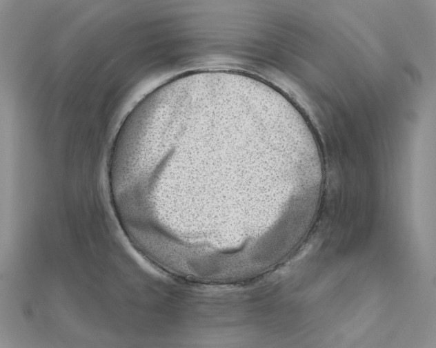 X0000112081429200909011034