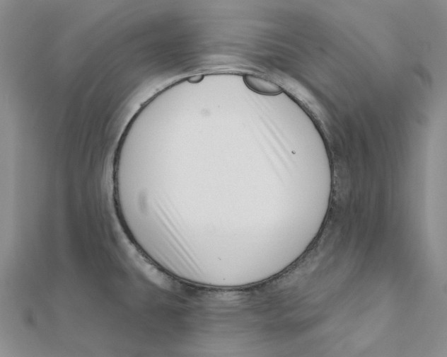 X0000112081431200909011034
