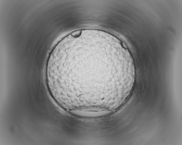 X0000112081432200909011034