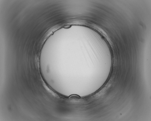 X0000112081433200909011034