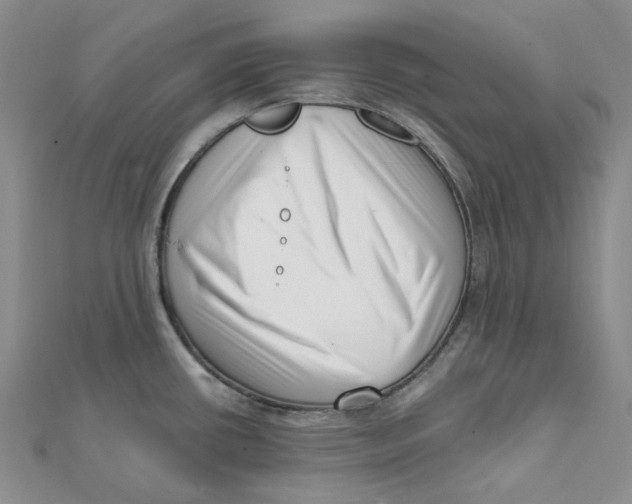 X0000112081434200909011034